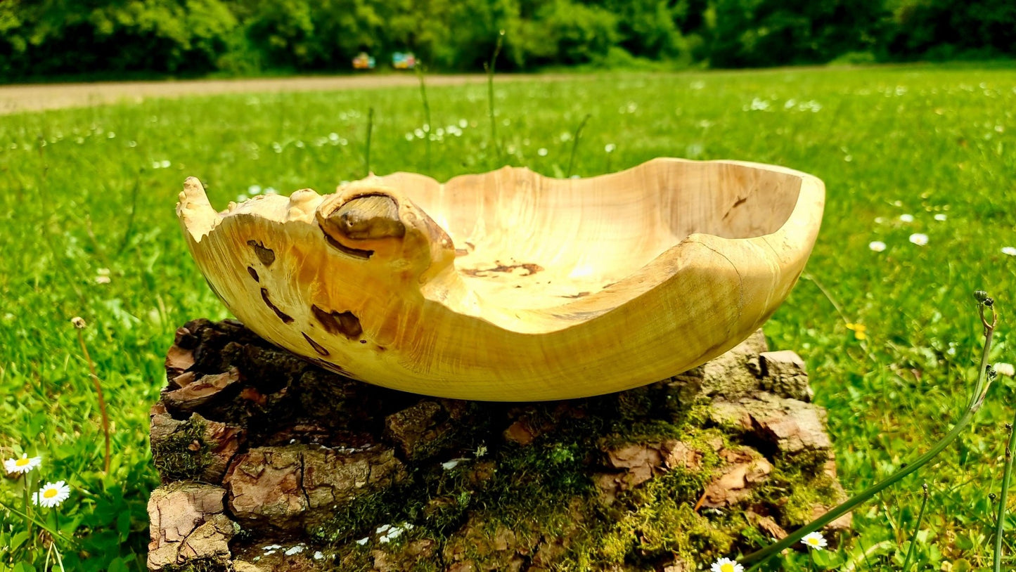 Handmade bowl with natural edge from linden burl - PipejaWood