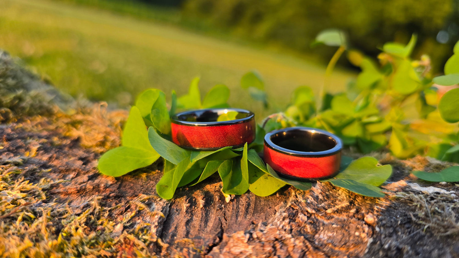 Wooden Rings with Black Ceramic Inlay