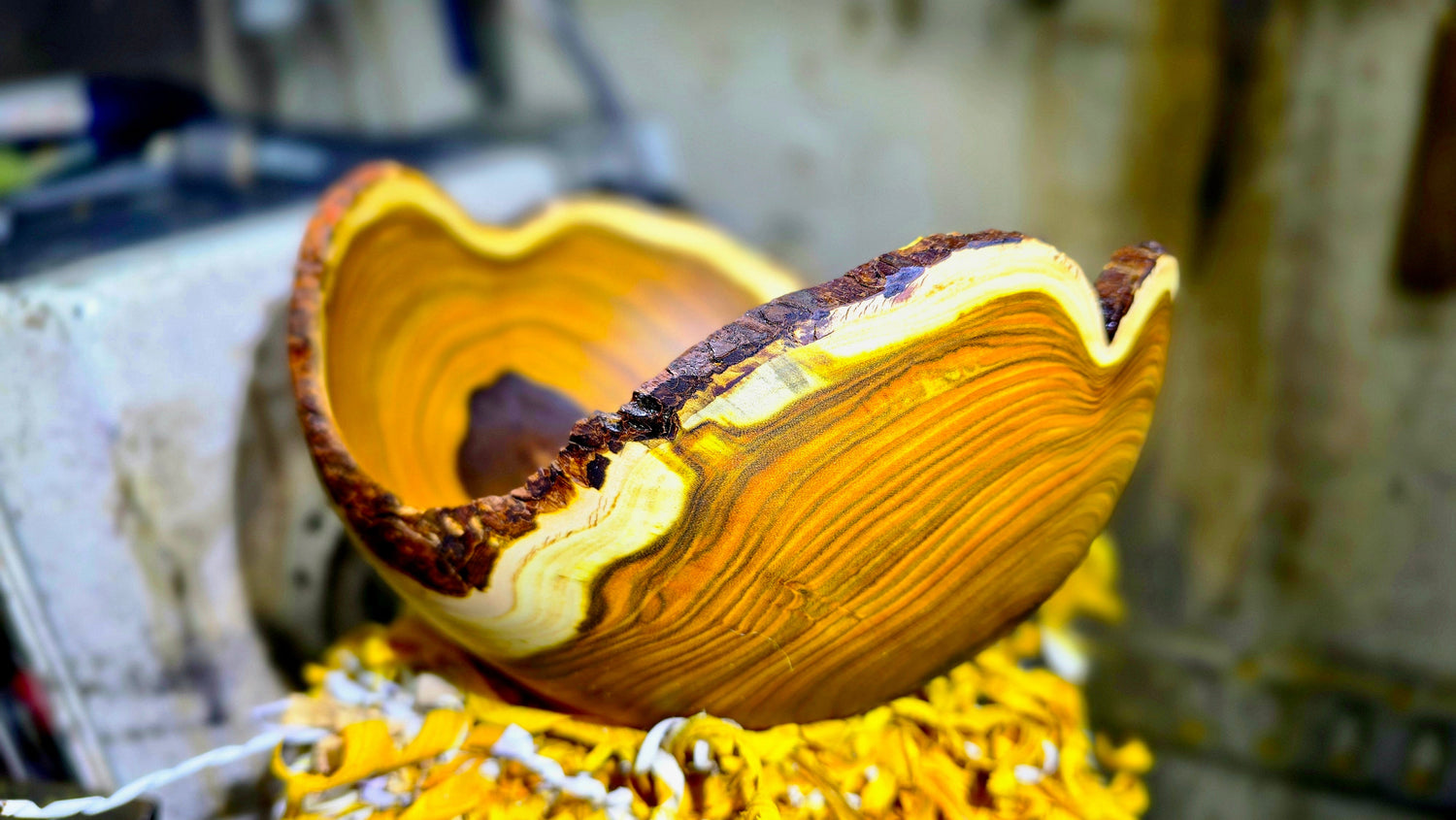 Handmade wooden bowls - PipejaWood