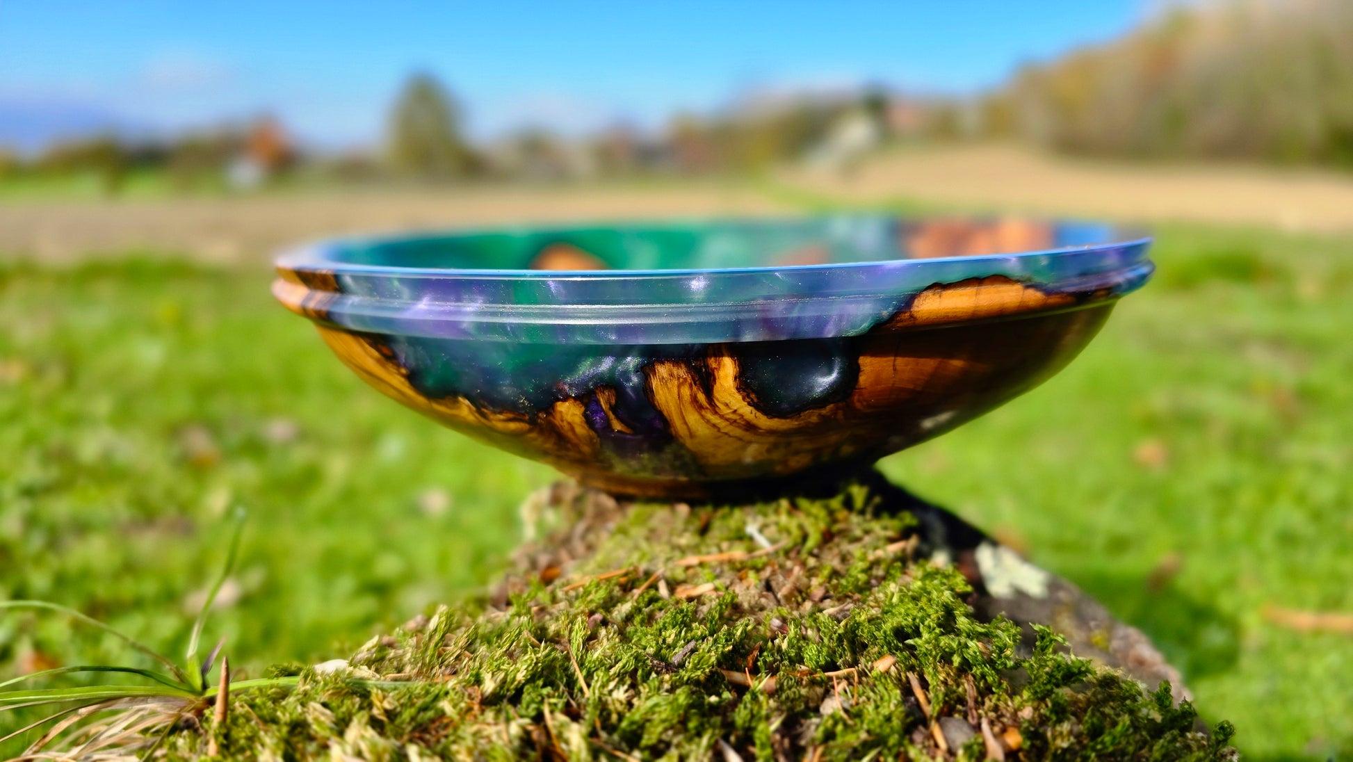 Close-up detail of olive wood grain blended with colored epoxy resin