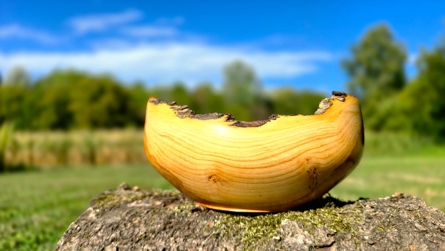 Live edge apple wood bowl, one-of-a-kind hand-turned decorative bowl