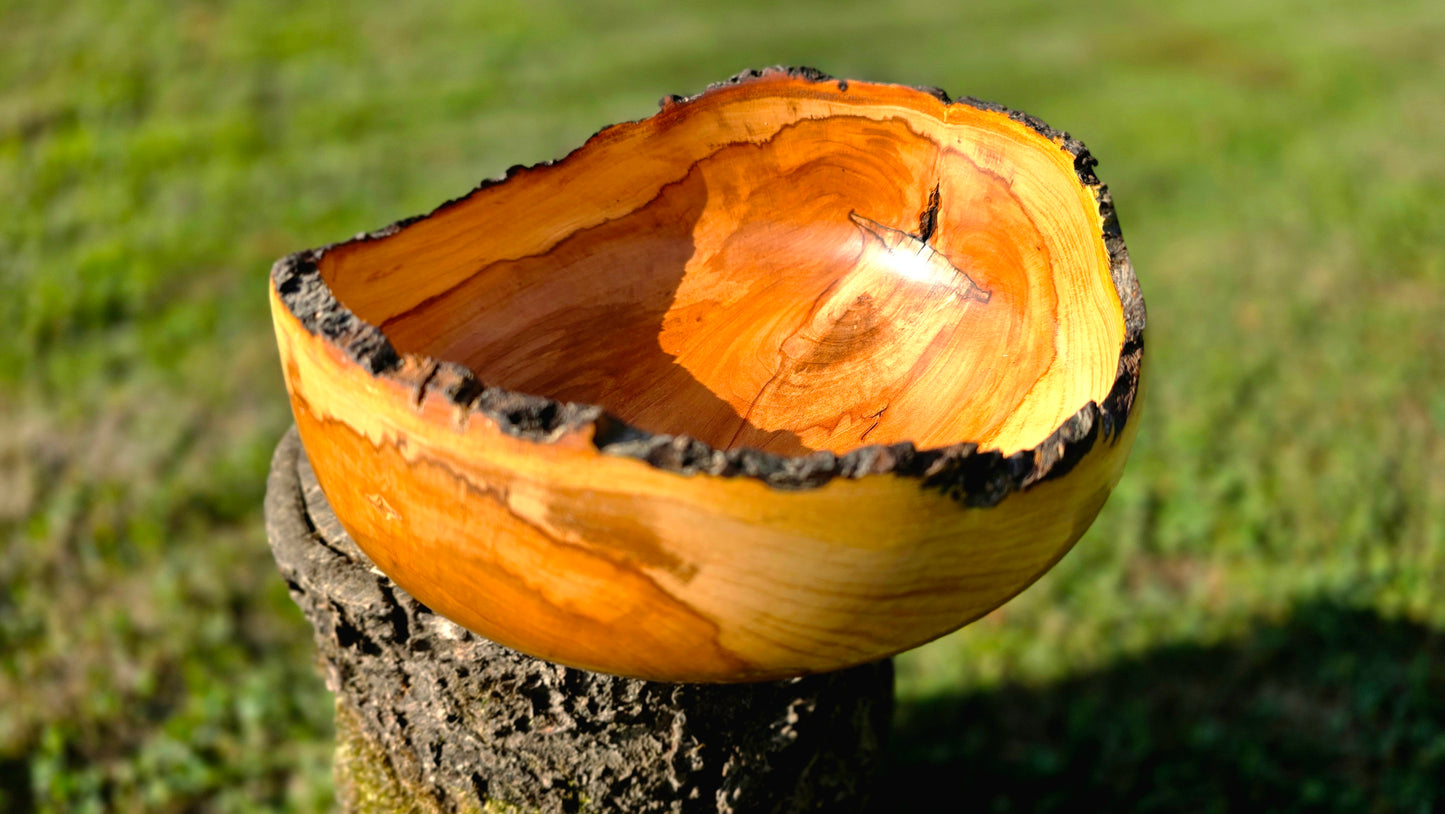 Handmade apple wood bowl with natural live edge, PipejaWood woodturning