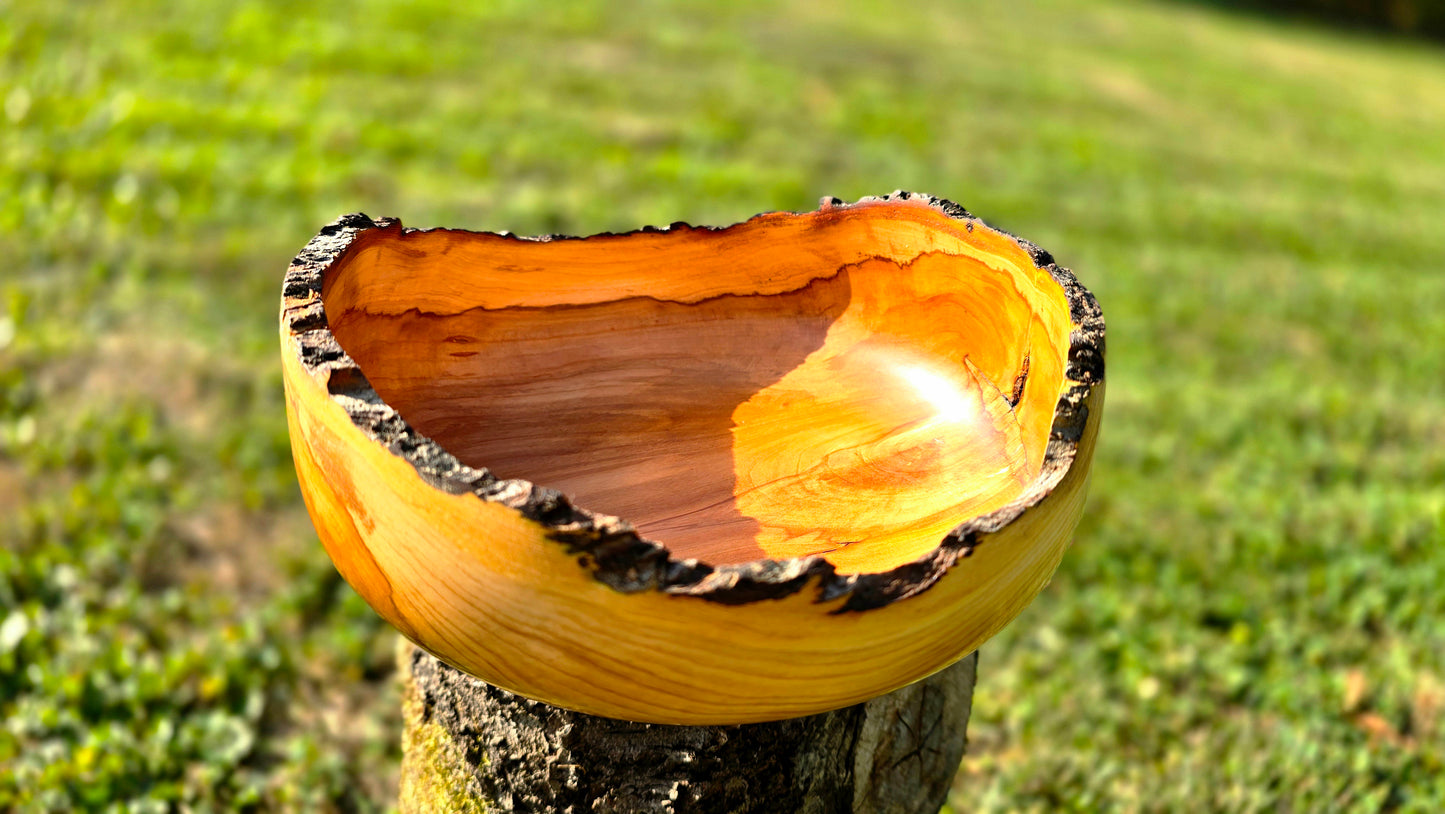Apple wood bowl interior showing natural grain, food-safe finish