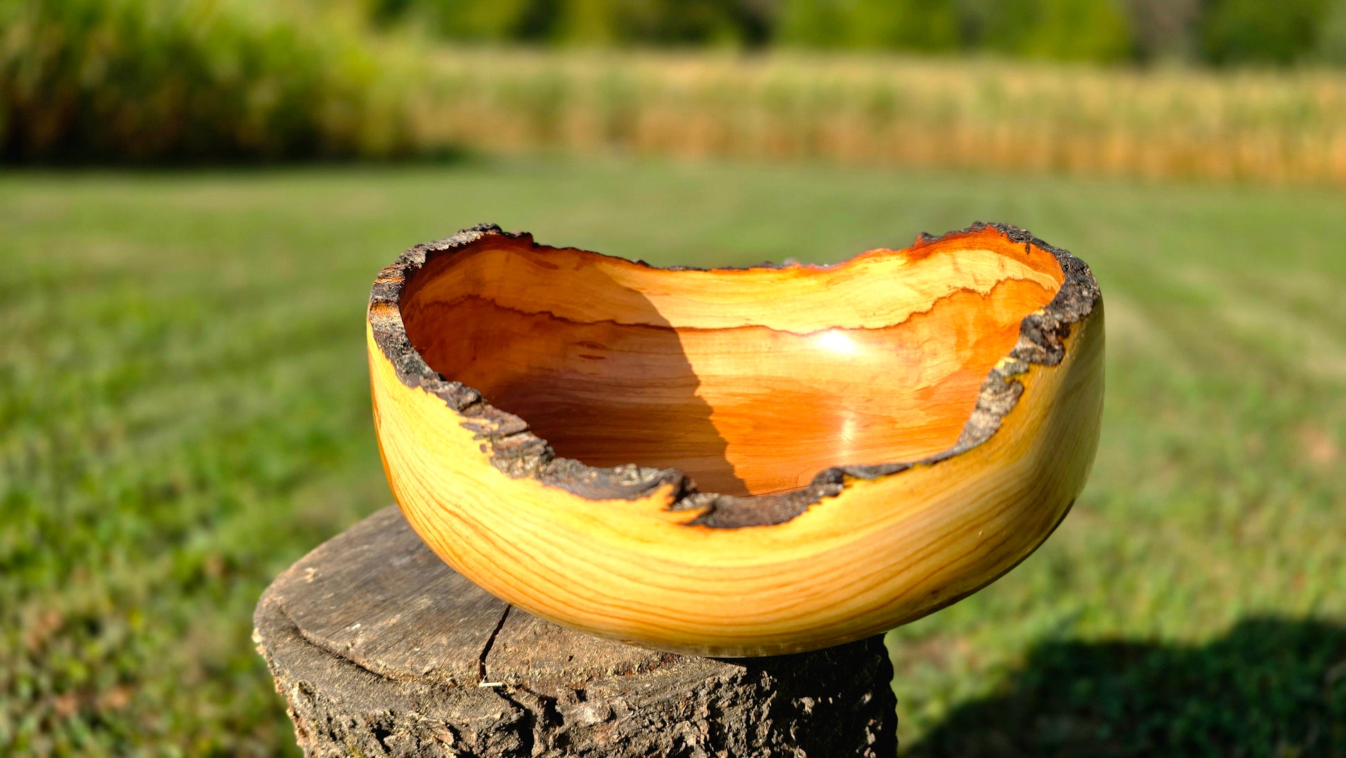 Hand-turned apple wood bowl with preserved bark edge, handmade in Europe