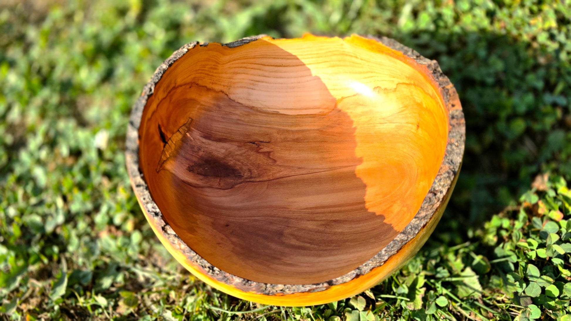 Live edge apple wood bowl, unique handmade wooden centerpiece
