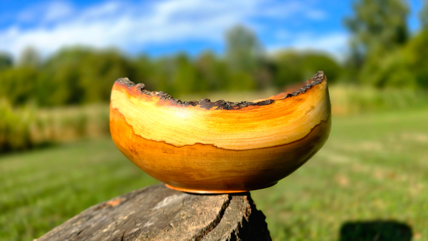 Apple wood bowl base with PipejaWood handmade maker's mark