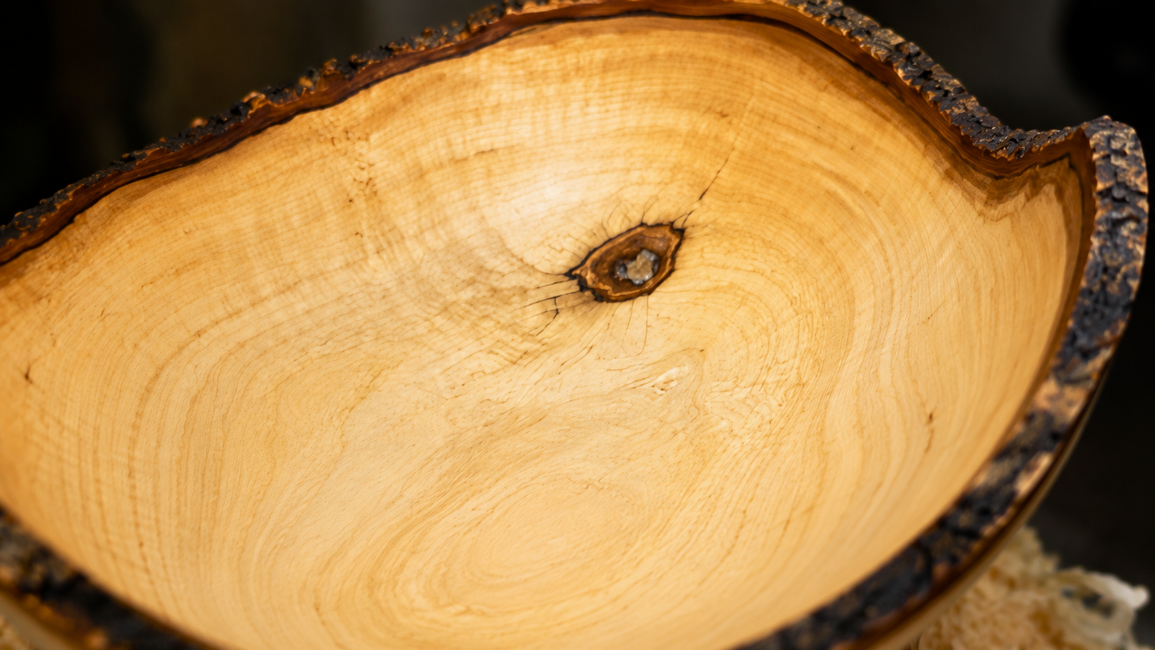 Close-up of a wooden log with visible grain and texture