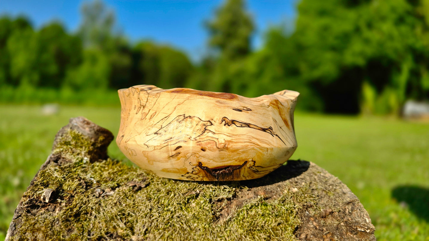 Close-up spalted birch texture and live edge detail