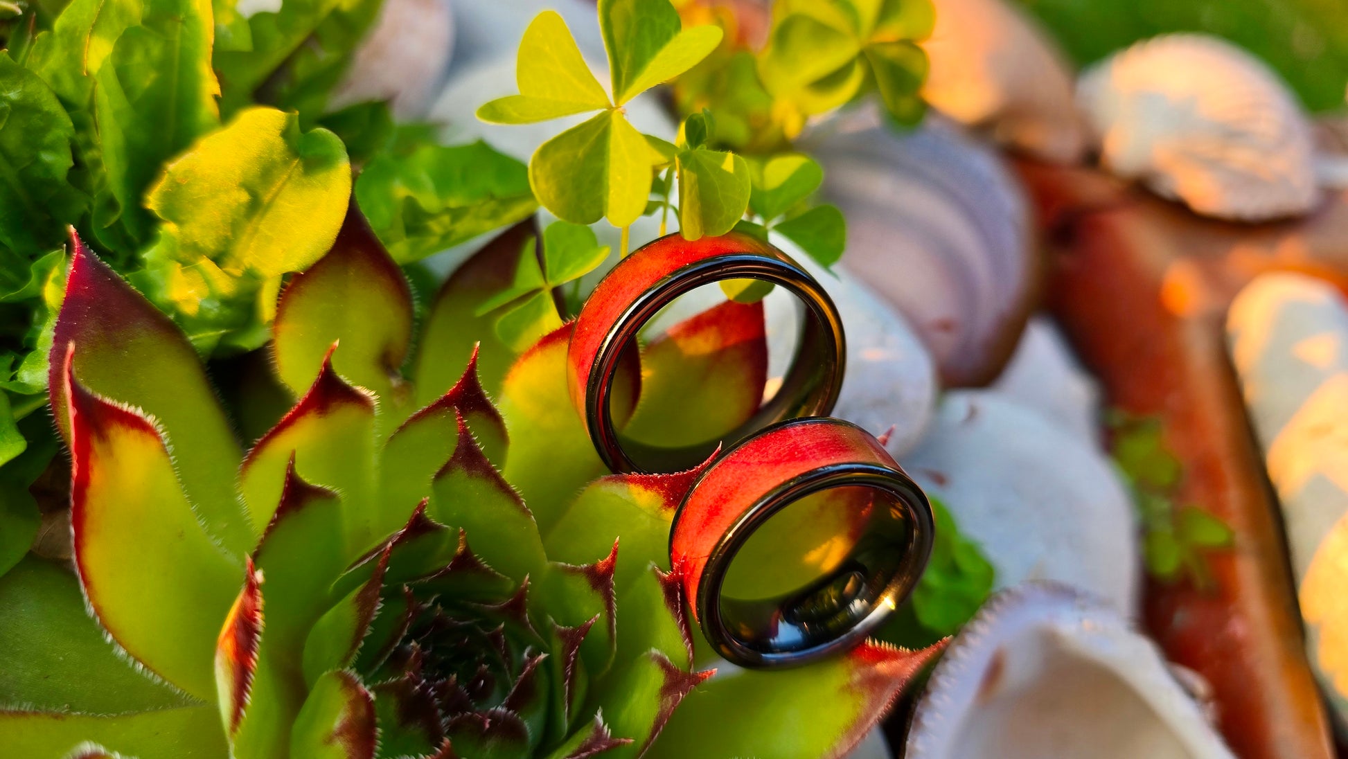 Handmade Wooden Ring with Black Ceramic Inlay 