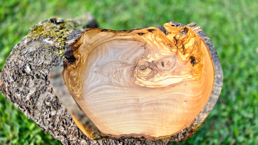 live-edge olive wood bowl rustic
