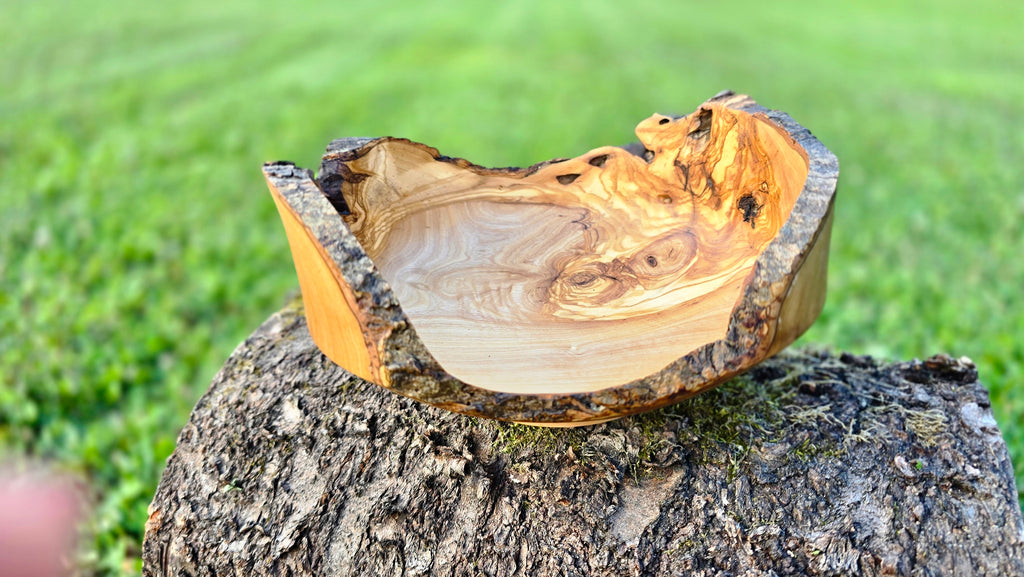 Wooden bowl on a tree stump with a blurred green background