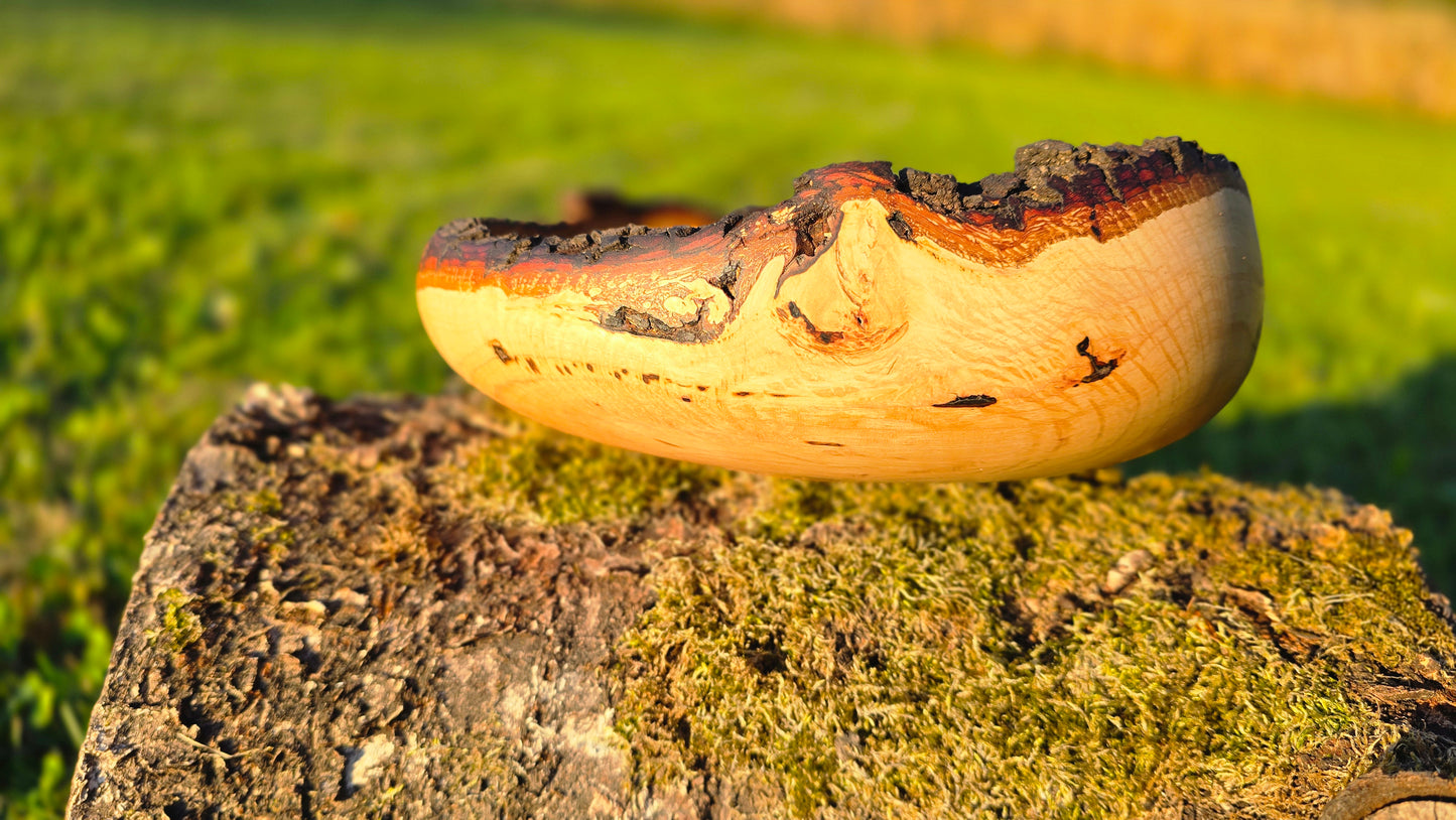 Wooden bowl on a stone with a grassy background