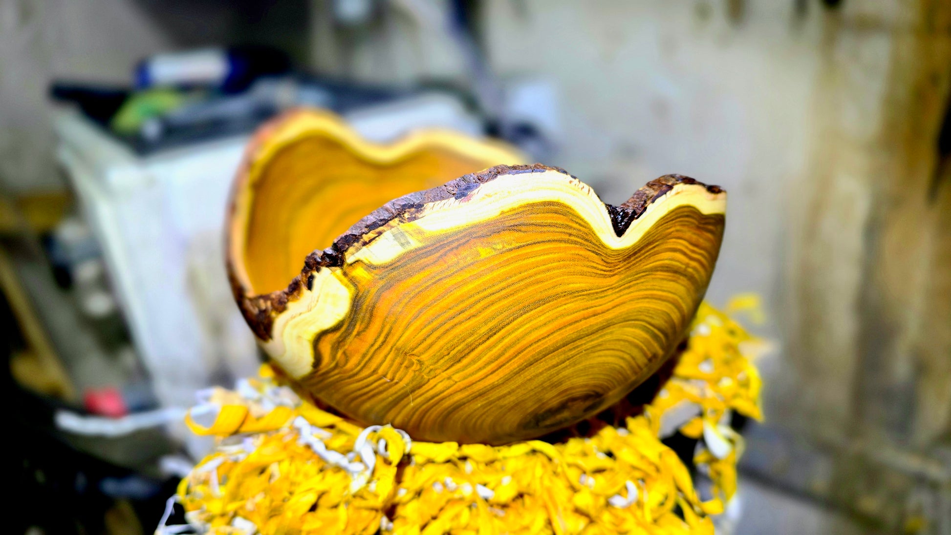 Rare Sumac wood bowl with natural bark edge and smooth interior finish