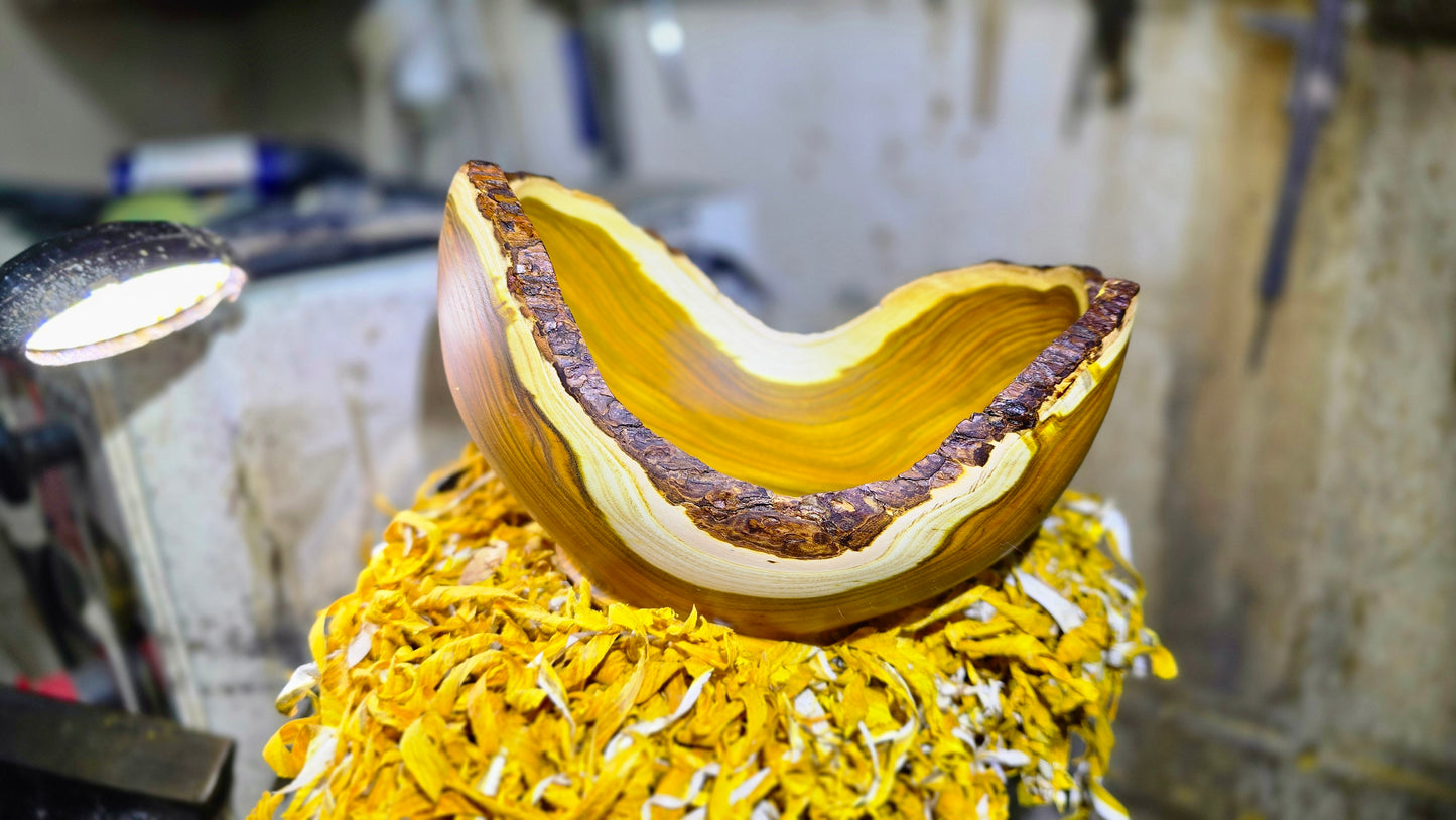 Side view of thin-wall Sumac wood bowl showing natural-edge design