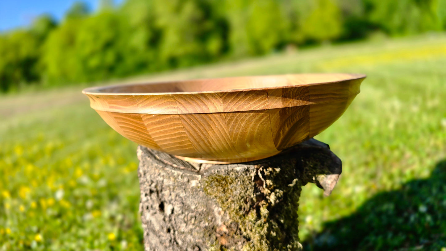 Wooden bowl on a tree stump in a natural setting with greenery