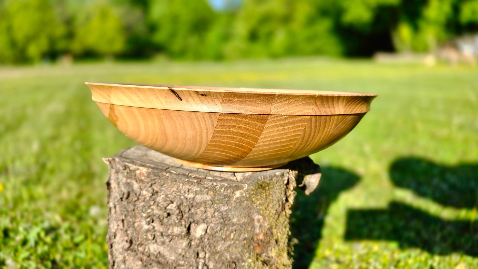 Wooden bowl on a tree stump with a blurred green field background