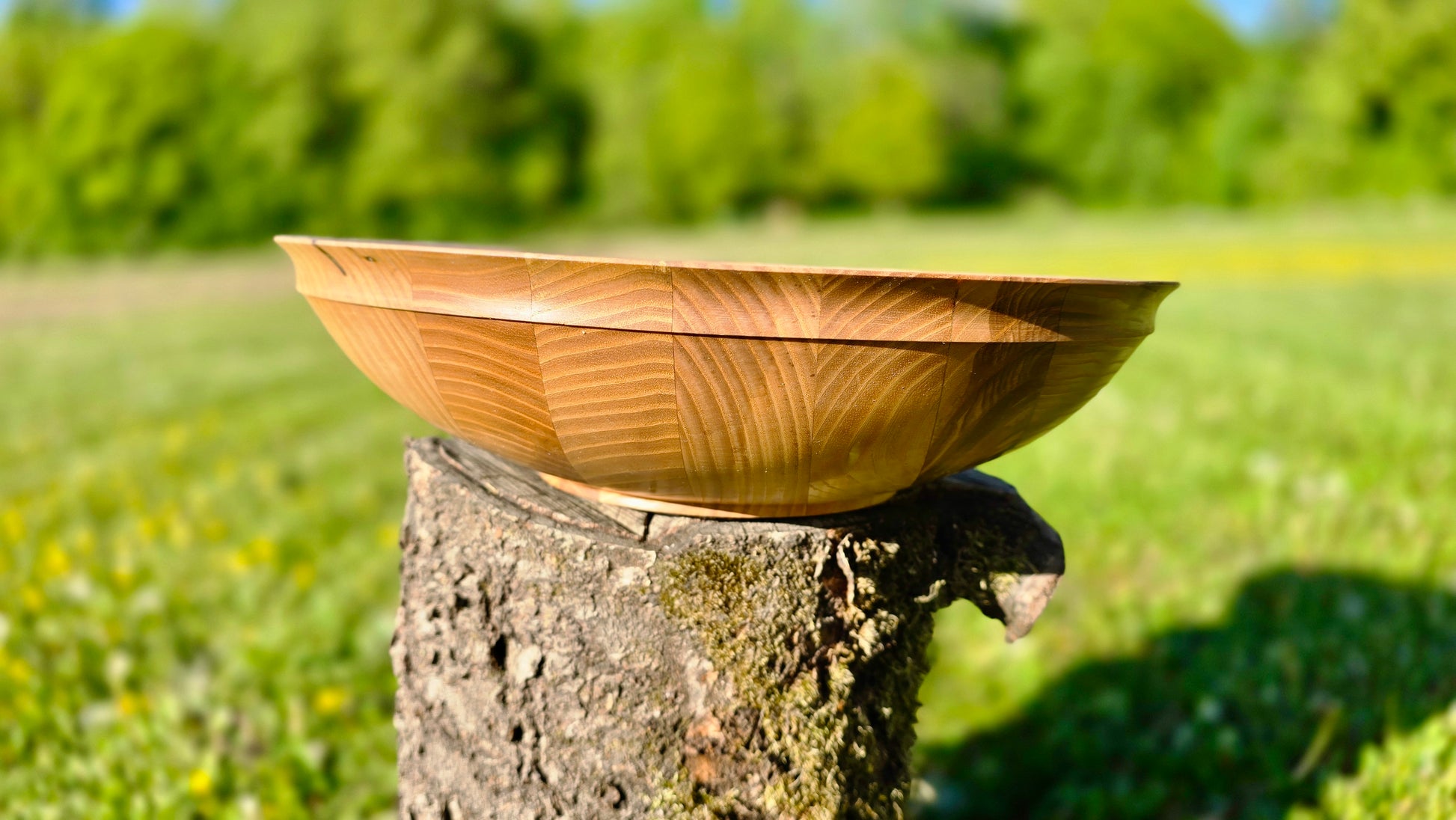 Wooden bowl balanced on a tree stump with a blurred green field and trees in the background