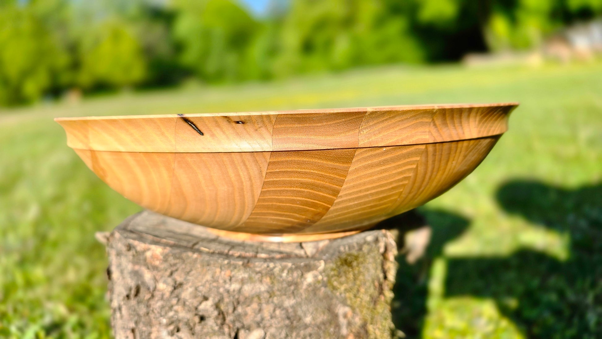 Wooden bowl on a tree stump with a blurred green outdoor background