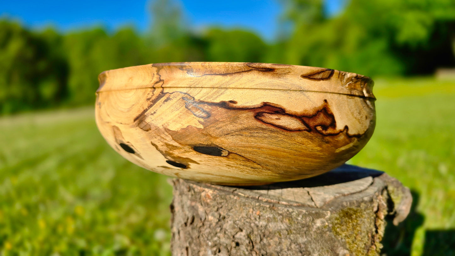 Wooden bowl on a tree stump with a blurred green field and blue sky in the background