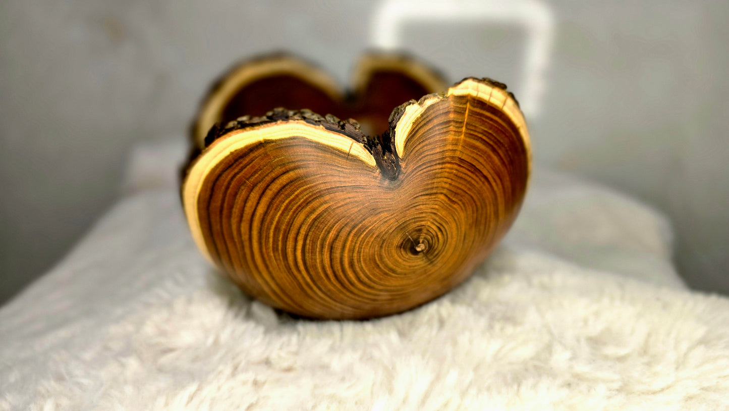 close up live edge bark detail sumac wooden bowl texture