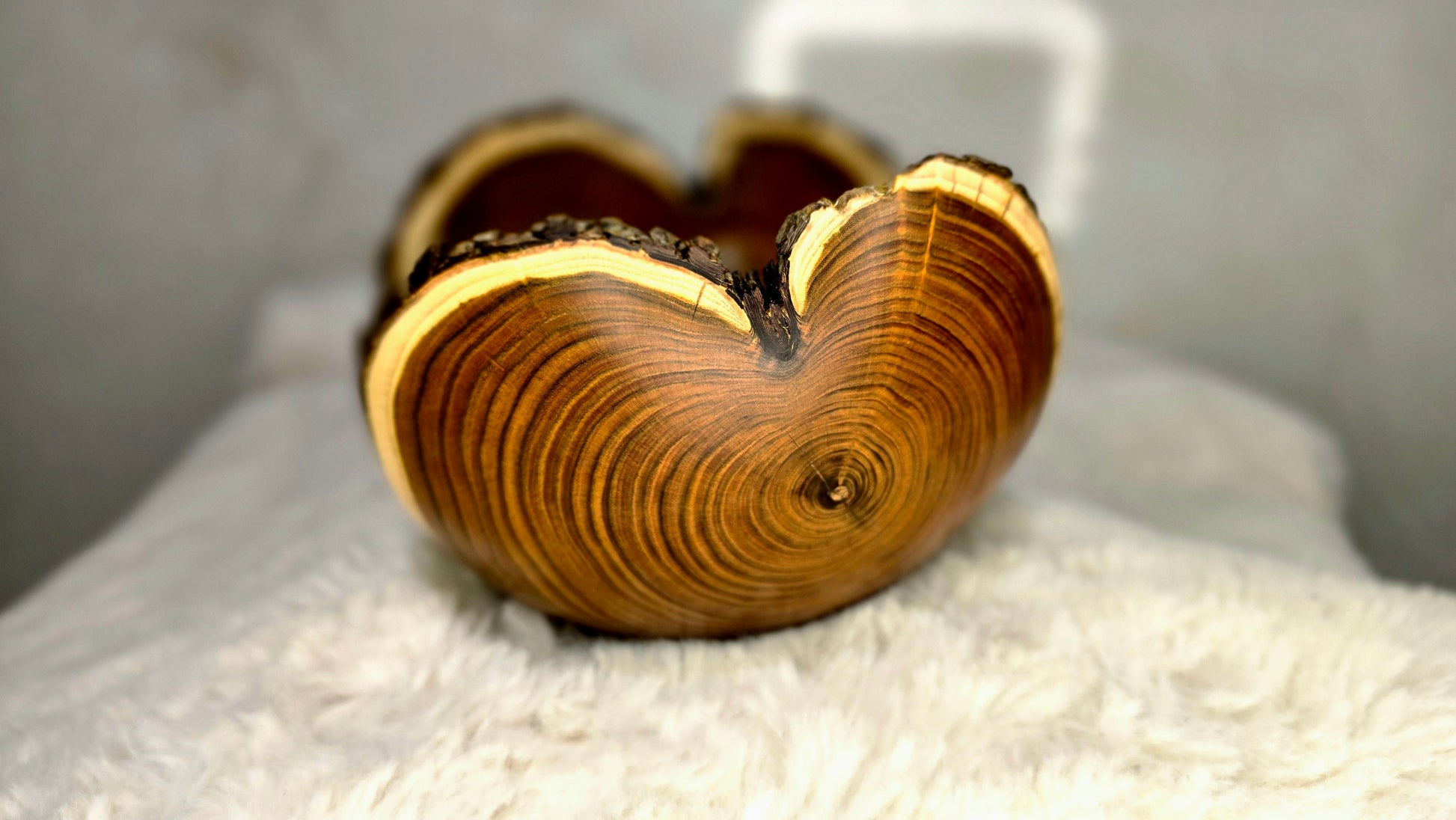 close up live edge bark detail sumac wooden bowl texture