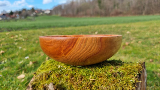 handmade plum wood bowl natural grain close up