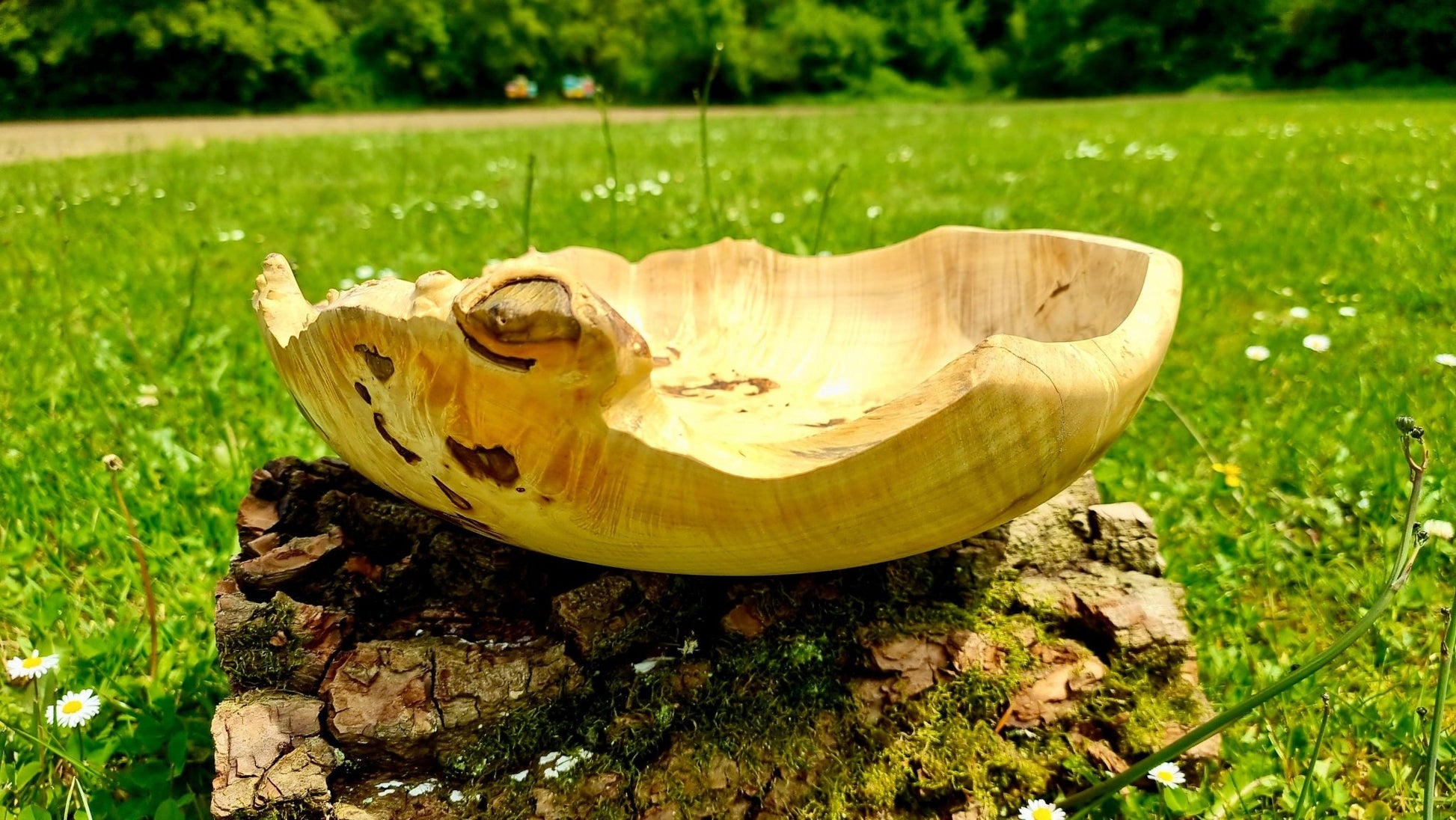 Handmade bowl with natural edge from linden burl - PipejaWood
