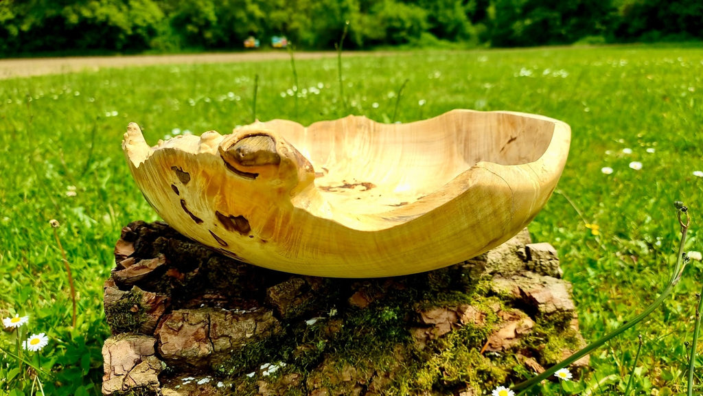 Handmade bowl with natural edge from linden burl - PipejaWood