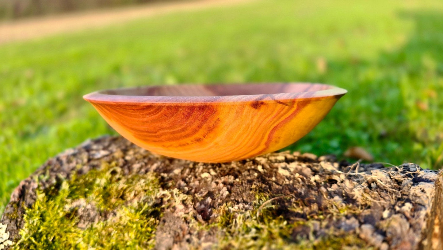 handmade plum wood bowl solid natural grain close up