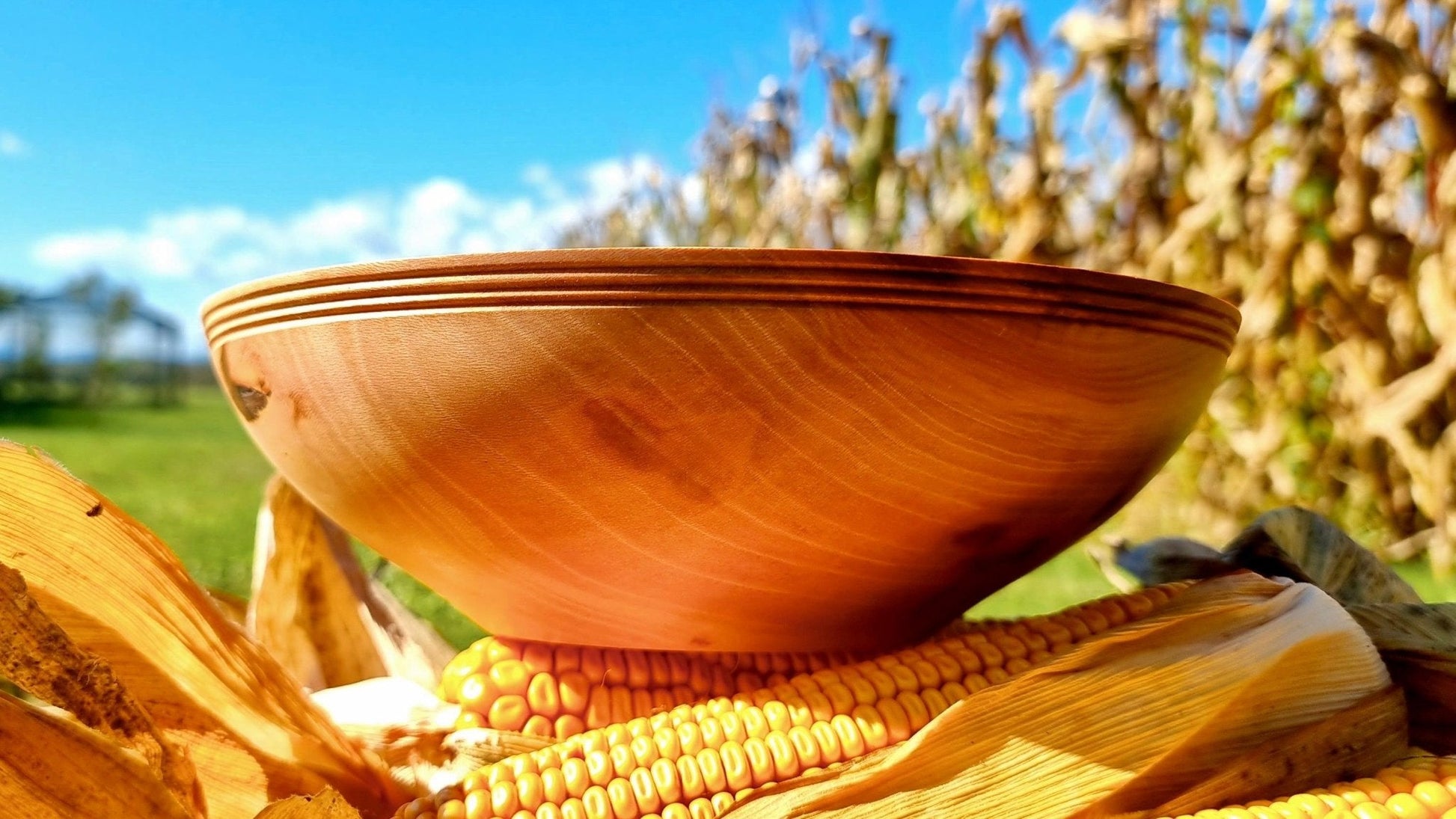 decorative sycamore wood bowl natural light grain