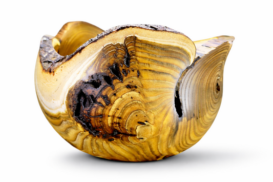 handmade staghorn sumac wood bowl natural edge luxury wooden bowl rhus typhina unique design