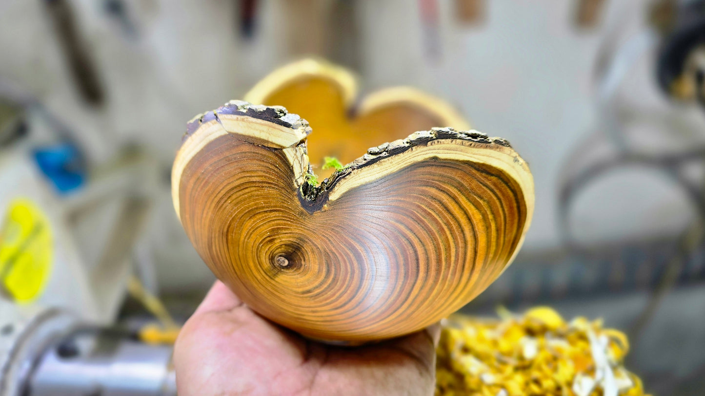 handmade sumac wood bowl live edge natural grain in hand